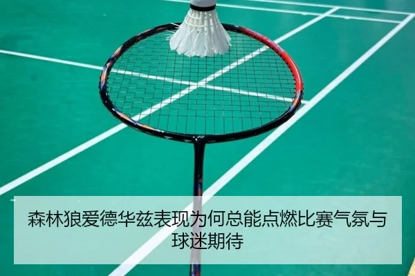 森林狼爱德华兹表现为何总能点燃比赛气氛与球迷期待